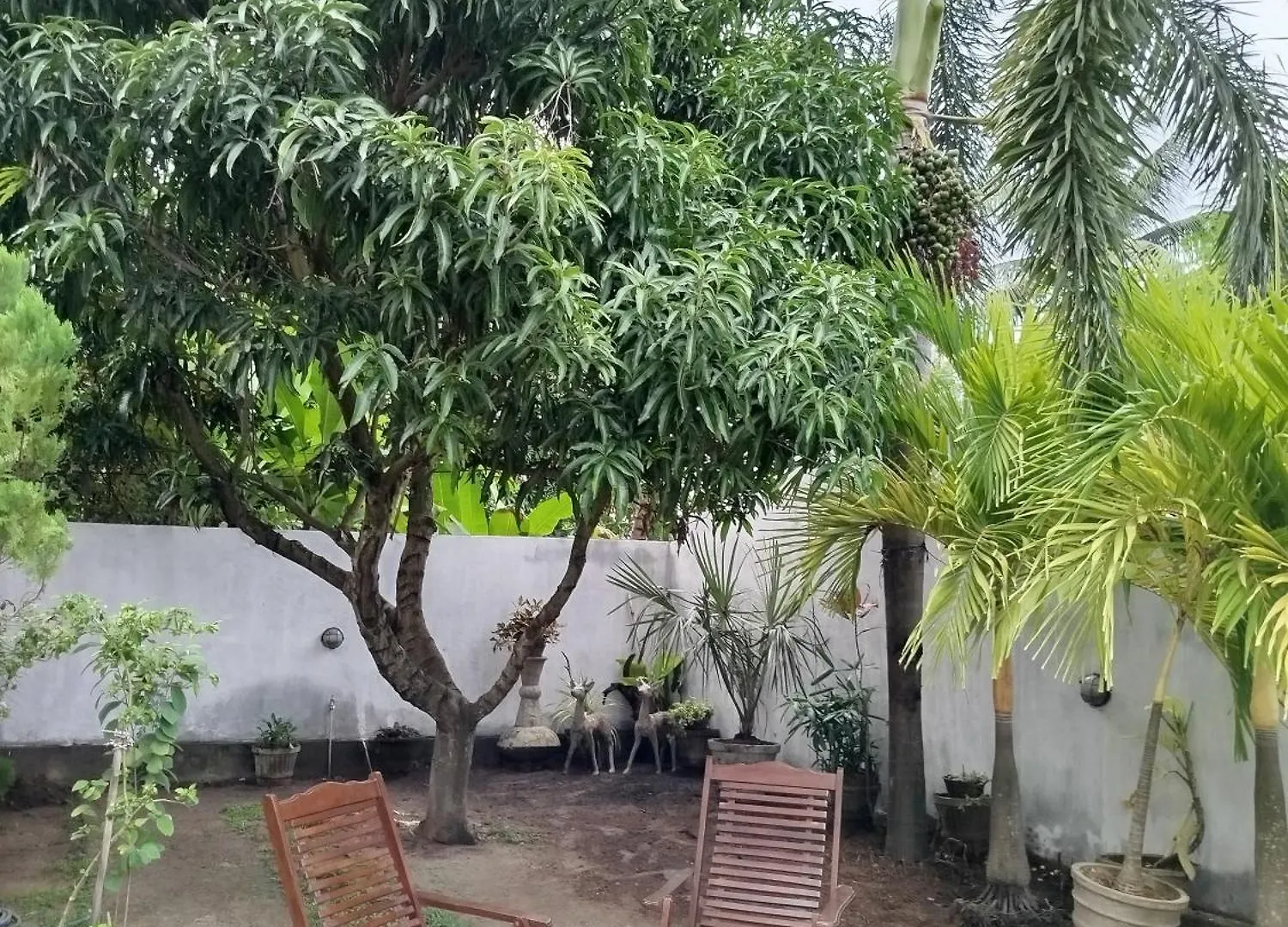 בית הארחה נגומבו White Palace